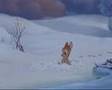 Bambi - Let it snow Mp3