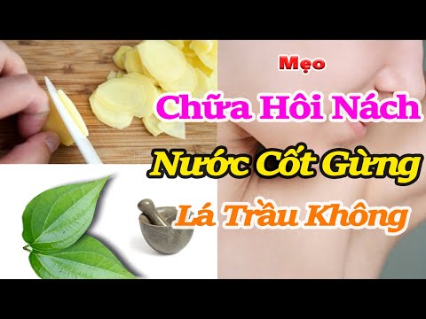 Mẹo Chữa Hôi Nách bằng Nước cốt gừng và lá trầu không