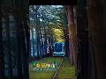 #高雄輕軌 #美術館站C21 #龍貓隧道 #龍貓 #となりのトトロ #小車拍拍走 #dhgarage