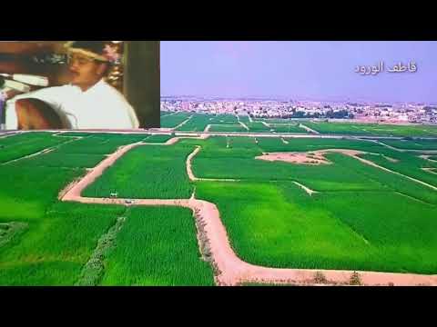 صالح خيري عرفك تهامي