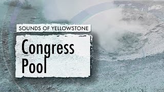 Congress Pool — ASMR, Sleep, Concentration (Sounds of Yellowstone)