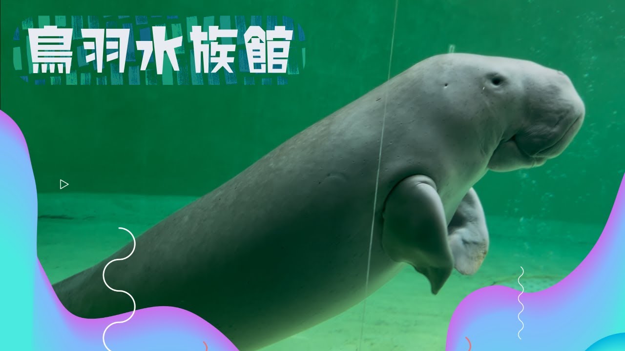 鳥羽水族館（2025.10.21）