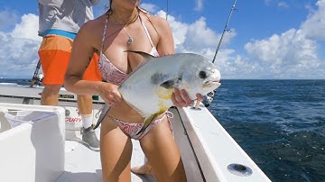 Wreck Permit Fishing Video using the Demon Circle Hooks