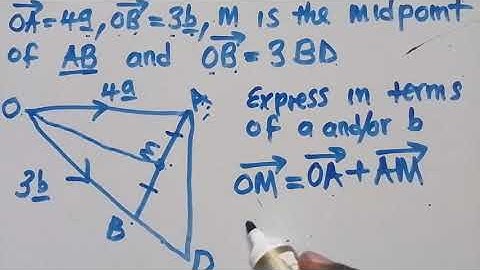 Final Revisions(P2): Lesson 2 - Vectors And Computer Operations