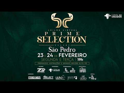 LOTE 1000   DESIREE FIV NAPEMO   NEYP 472