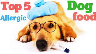 Allergic Dog food | top 5 Health issue | Animal Channel hindi by Animal Channel Hindi 1,312 views 5 years ago 1 minute, 43 seconds