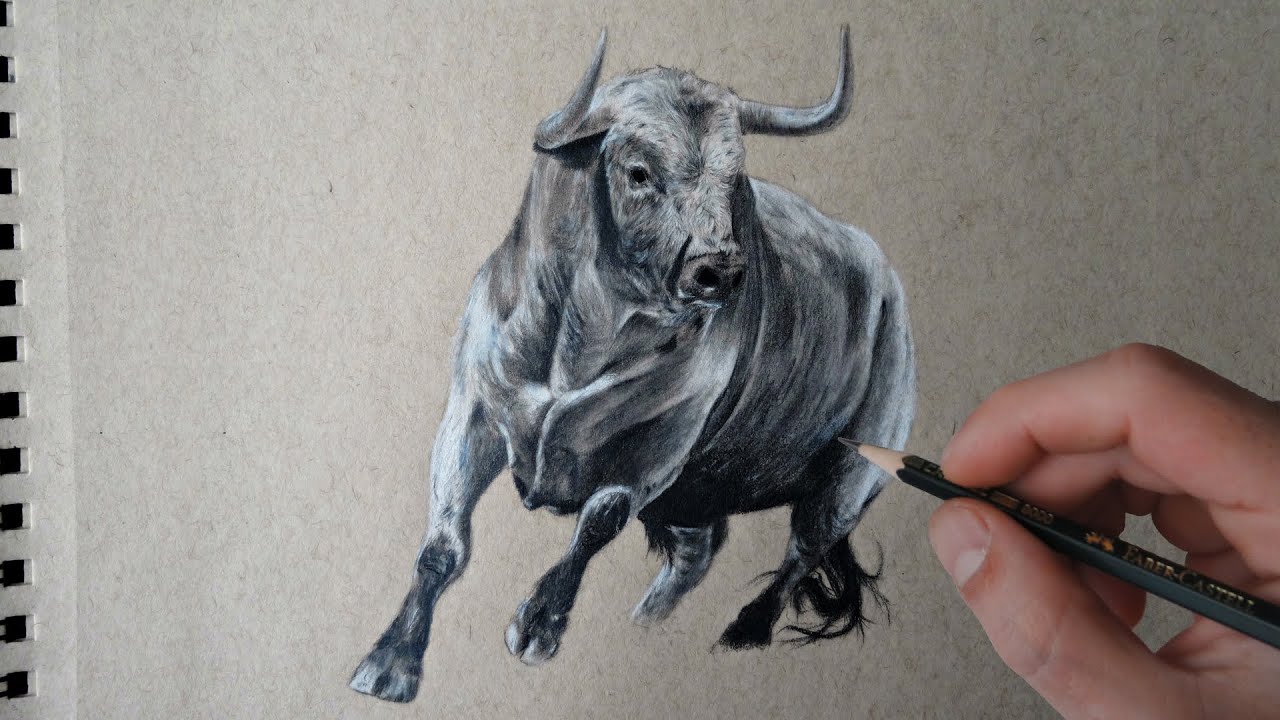 Como dibujar un toro bravo || Bull pencil drawing - thptnganamst.edu.vn