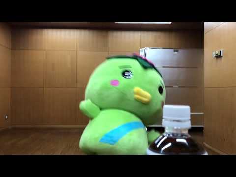 クッション 英語 発音 クッション 英語 発音