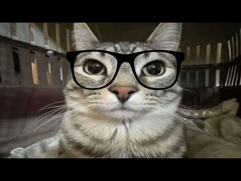 Monatagem Supersonic Super Slowed