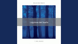 Soft Noises and Instant Recharge pt. 5 screenshot 5