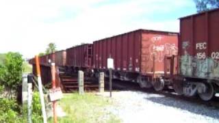 Dania Freight Train 7