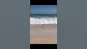 When The Druid Nat 1