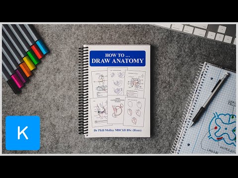 Video: Hjertebilder, Diagram Og Anatomi - Kroppskart
