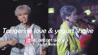 240511 the dream show 3 in osaka tangerine love & yogurt shake 재민 재민JAEMIN JENO 직캠 FANCAM