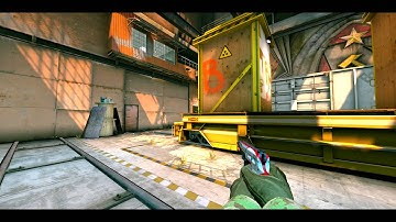 flusha vs NIP @DreamHack Open Summer 2015