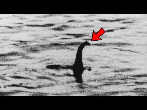 Videó: Egy Titokzatos Loch Ness-i Szörny Terrorizálni Kezdett Egy Skót Falut - Alternatív Nézet