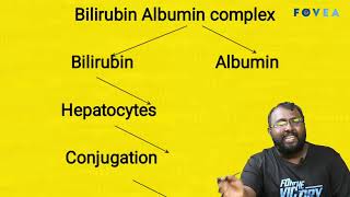 Heme Metabolism Dr.albin Justin