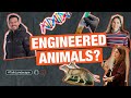 Can SYNTHETIC BIOLOGY Save Nature?