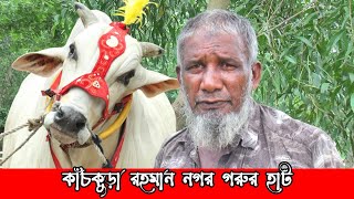 কাঁচকুড়া রহমান নগর গরুর হাট