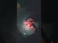 Resident Evil 3 Remake PCVR Mod “Chop Chop Mr Licker!” #shorts #re3remake #residentevil