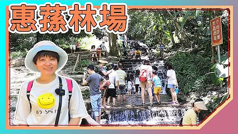 南投景點：惠蓀林場｜夏天避暑勝地｜山嵐小徑｜涉水步道｜興大鮮乳雪糕｜小木屋｜中興大學｜Nantou Attractions｜Huisun Forest Farm｜Taiwan travel - 天天要聞