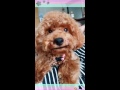 われわれは うちゅうじんだ👽