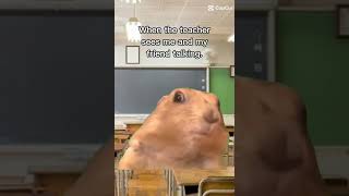 When The Teacher Catches U And Ur Bro Talkin