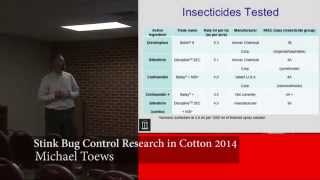 Stink Bug Control Research in Cotton - 2014 with Michael Toews
