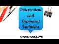 Variables in Action: Exploring Independent and Dependent Relationships
