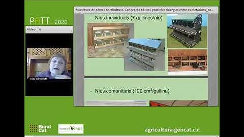Avicultura de posta i horticultura. Conceptes bàsics i possibles sinergies entre explotacions