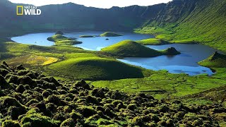 Kehidupan Flora dan Fauna Liar Pulau-Pulau di Eropa | Nat Geo Wild screenshot 3