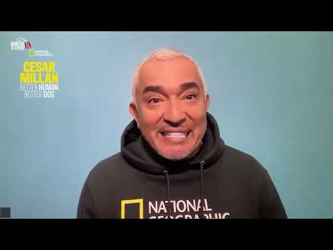 Dog Training with Cesar Millan: Five Most Helpful Tips!