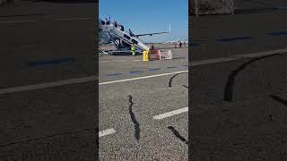 volo Pisa - Bucuresti România