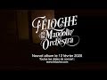 Capture de la vidéo Feloche & The Mandolin' Orchestra