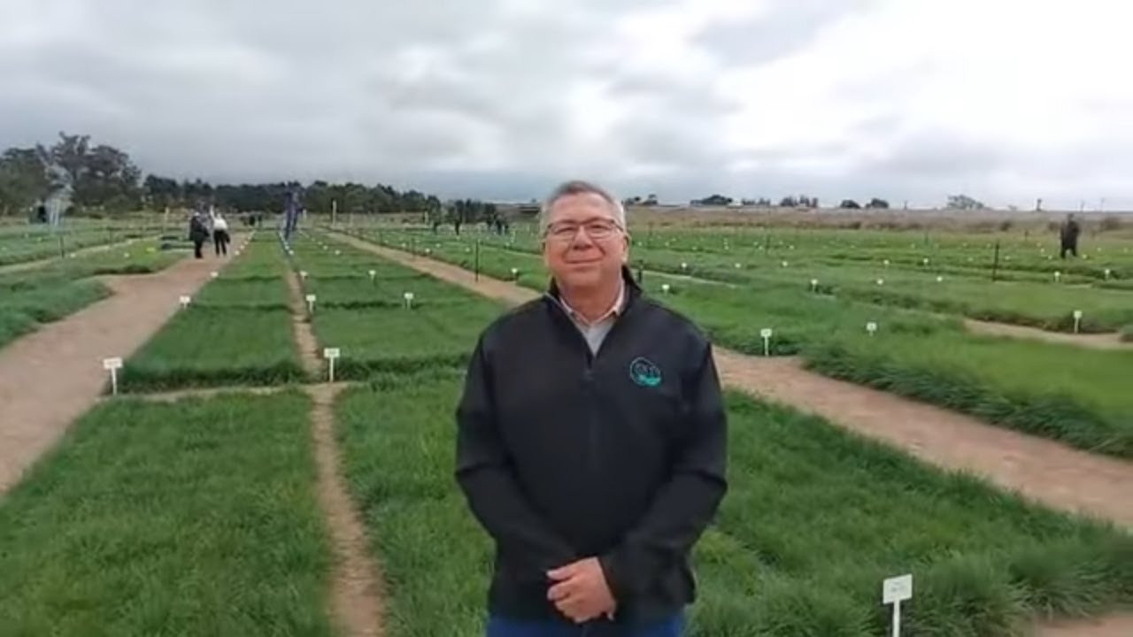 Hoe het Agrofors ontstaan en wat is die doel met hulle boeredag?