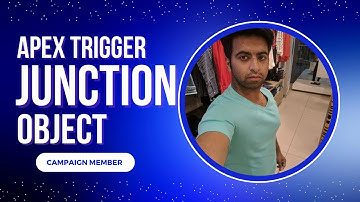 Salesforce Trigger on Junction Object CampaignMember Sync Campaign Names to Leads & Contacts