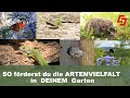 Heimische Tiere im eigenen Garten fördern, Vermehrung von Stauden, Samen ernten, Tischdekoration