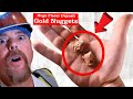 Biggest placer gold deposit found with gold monster 1000