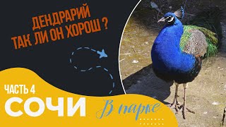 Сочи №4 Дендрарий. Так ли он хорош? Парк Дендрарий/ Канатная дорога Сочи/ Стоит ли идти в Дендрарий?