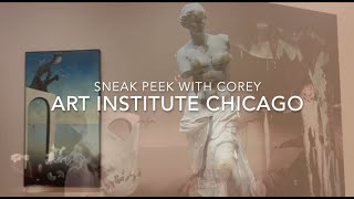 THE ART INSTITUTE CHICAGO