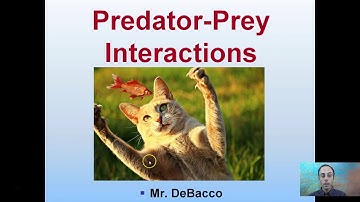 Predator Prey Interactions