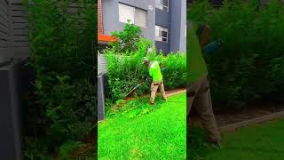 Watch till the end 🌱😁 #ytshorts #satisfying #mowing #viral #satisfyingvideo