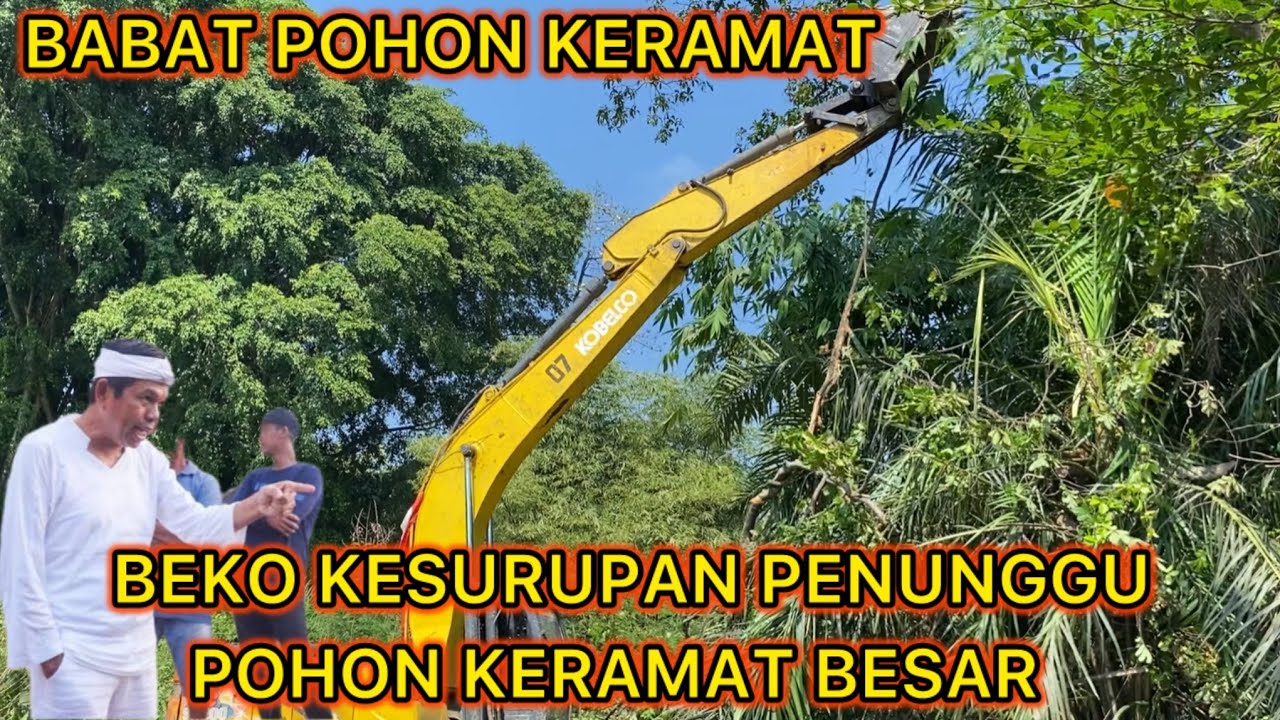 VIRAL⁉️PENUNGGU POHON KERAMAT TIDAK TERIMA MERASA TERGANGGU BEKONYA SAMPAI KUWALAHAN MENGATASI INI