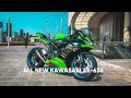 All New Kawasaki ZX636 - NIKU