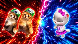 Mentahan green screen kucing joget latar hijau