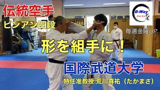 伝統空手ピンアン四段の分解　Traditional karate