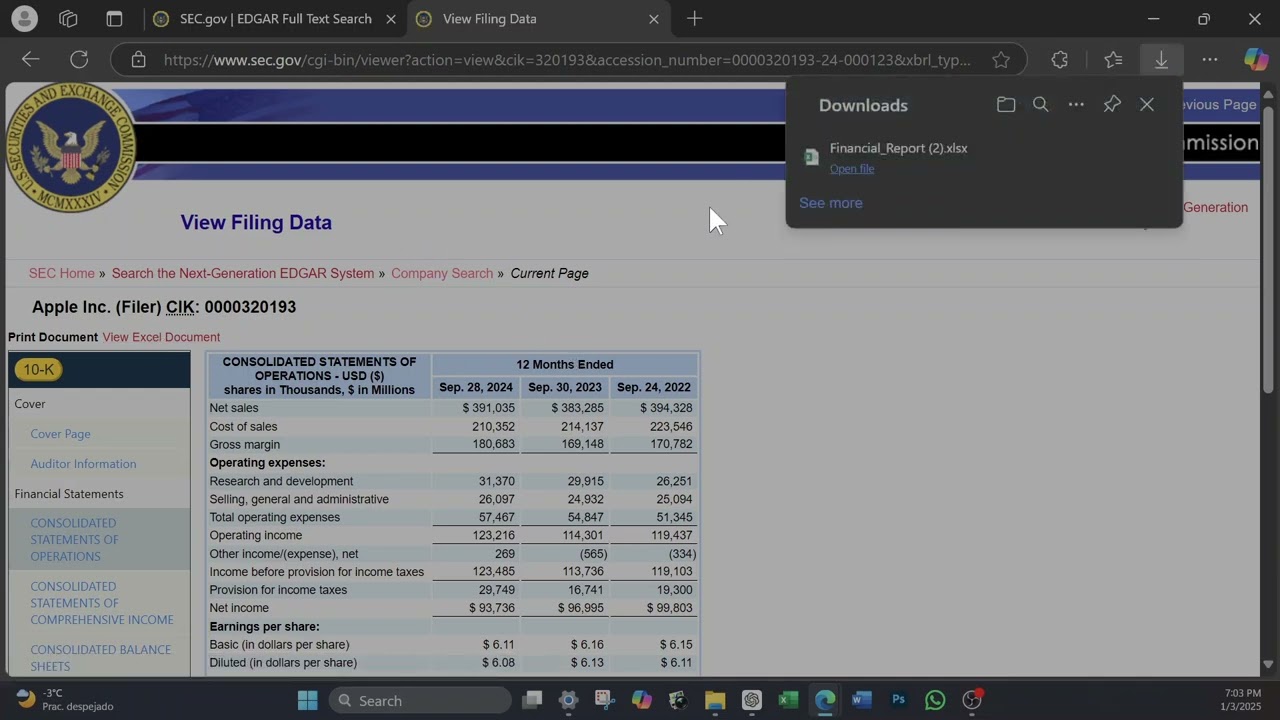 Download a Form 10-K into Excel from the sec.gov website