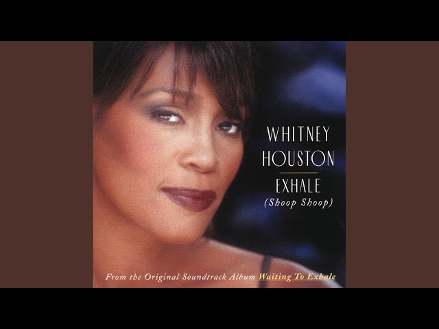 Do you hear what I hear? - Whitney Houston