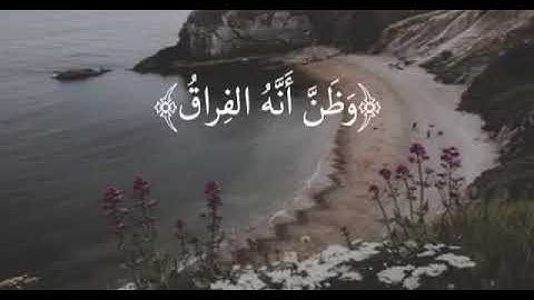 سورة القيامة بصوت ماهر المعيقلى🍀|حالات واتس اب maher al muaiqly