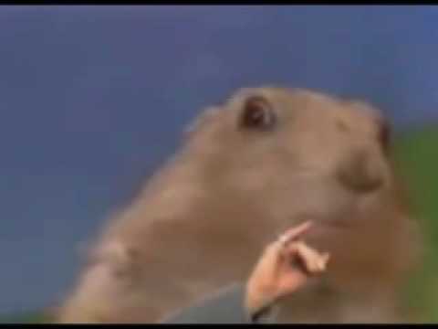 Doctor Evil Dramatic Chipmunk